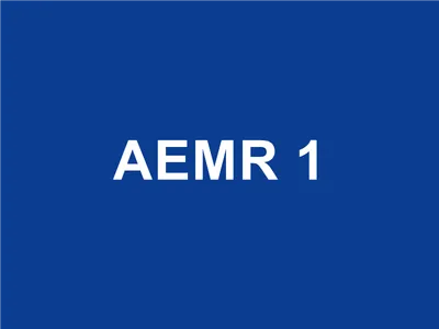 AEMR Futsal