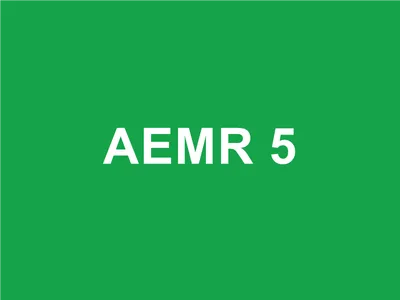 AEMR Futsal