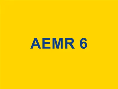 AEMR Futsal